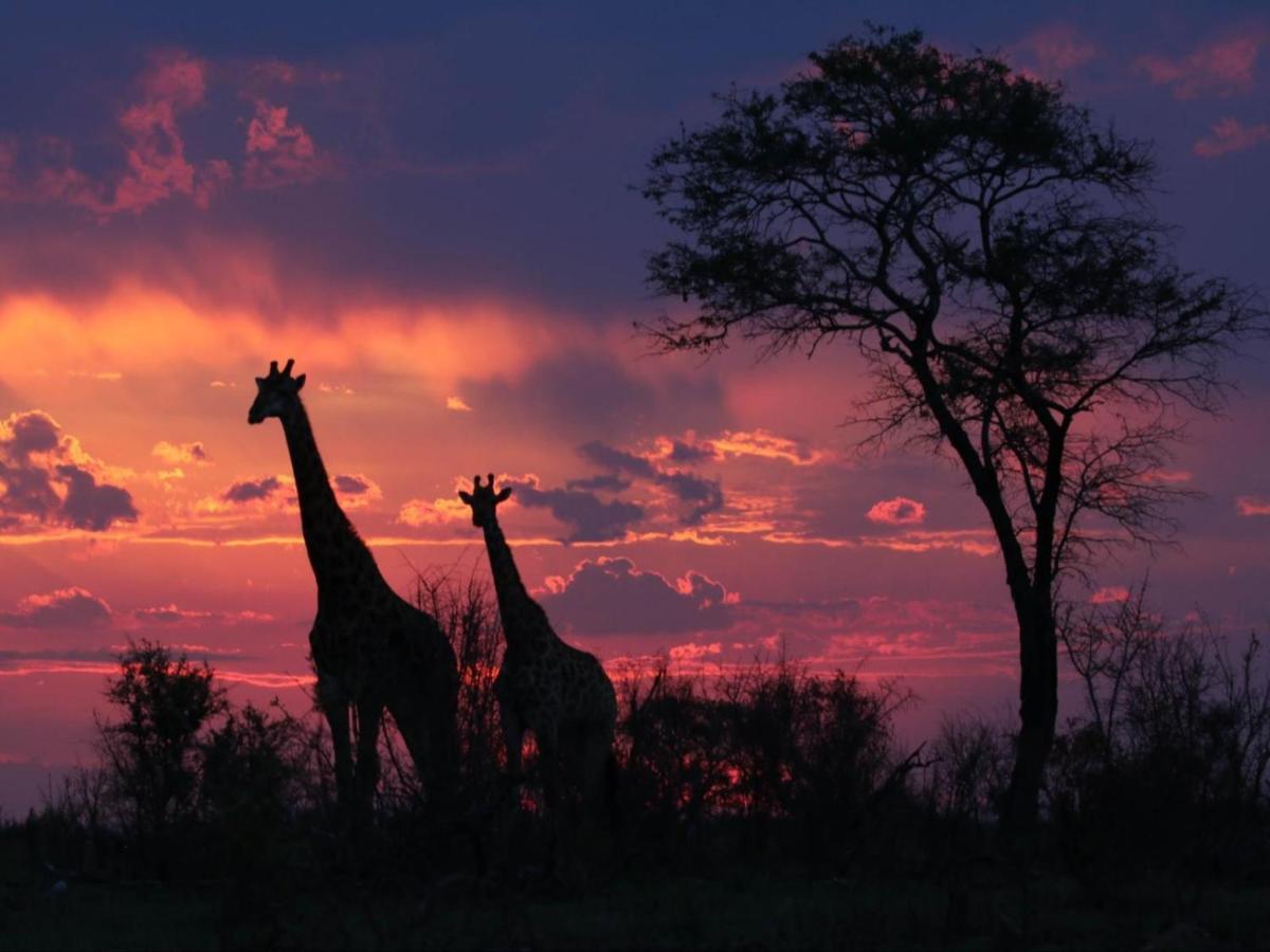 Paradise River Lodge Hoedspruit Ngoại thất bức ảnh