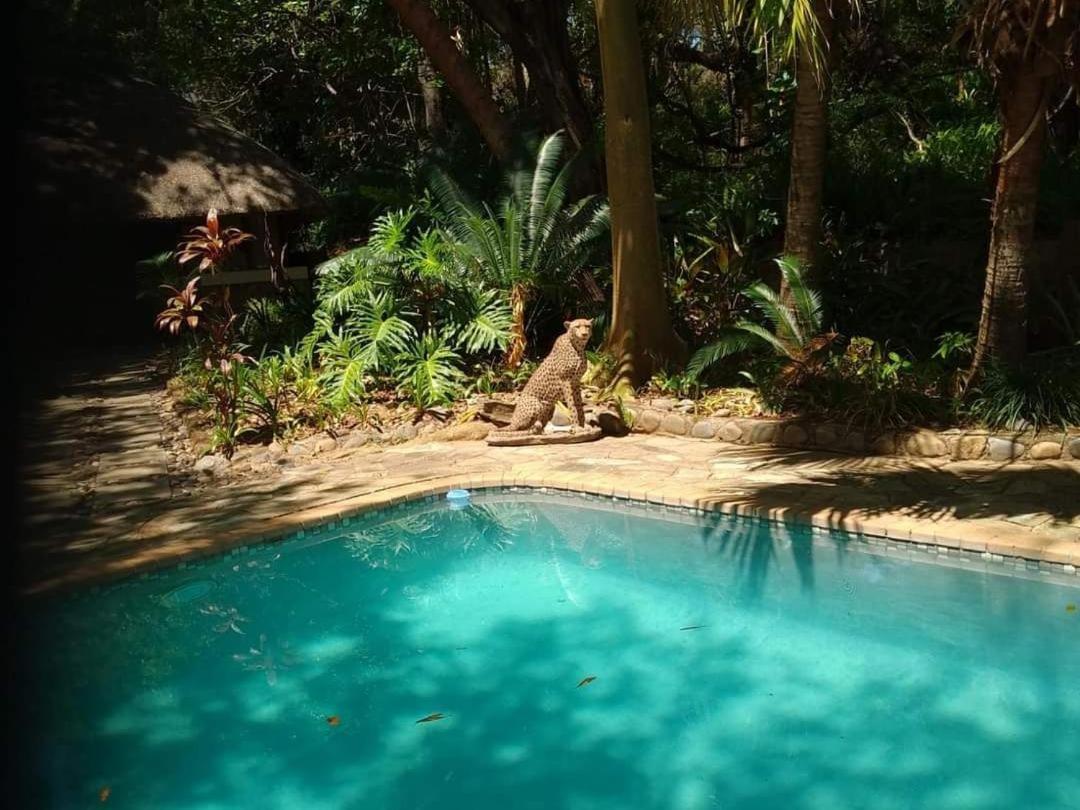Paradise River Lodge Hoedspruit Ngoại thất bức ảnh